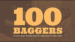 100 Baggers: Stocks That Return 100 To 1 And How To Find Them by Chris Mayer - Audiobook: Part II!