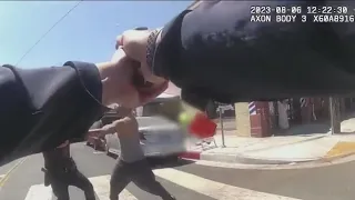 LAPD releases bodycam footage of ambush shooting on officers