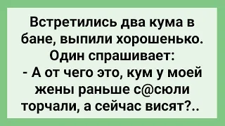 Кум Спрашивает Совета у Кума! Сборник Свежих Смешных Жизненных Анекдотов!