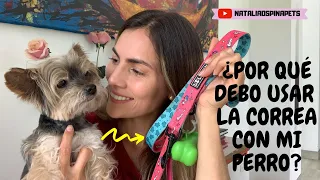 ¿Por qué debo usar la correa con mi mascota? -Tips by Natalia Ospina