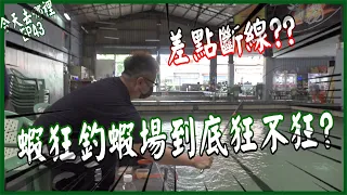 到底狂不狂？｜釣到差點斷線！【今天去哪裡 EP 43】 樹林蝦狂釣蝦場  @gueitsai  台湾のエビ Shrimp fishing in Taiwan 대만에서낚시