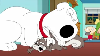 Brian Kills A Squirrel - Family Guy 19x03