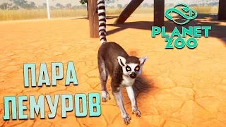 Кошачьи ЛЕМУРЫ В Зоопарке - PLANET ZOO Франшиза #6