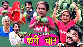 CHOTU DADA KAIRI CHOR | छोटू दादा कैरी चोर | Chhotu dada new comedy | Khandeshi comedy