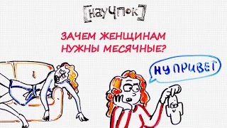 Зачем женщинам нужны месячные — Научпок