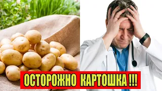 Какую опасность несёт в себе обычная картошка? Опасные заблуждения о картошке.