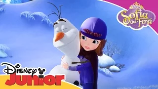 Sofia the First: The Secret Library - A Snowman's Advise | Official Disney Junior Africa