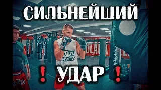 Сильнейший удар чемпиона мира по КУДО! Евгений Шаломаев МСМК