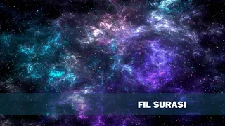 105 | Fil surasi