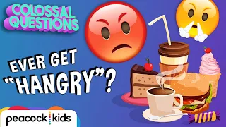 Why Do We Get “Hangry”? | COLOSSAL QUESTIONS