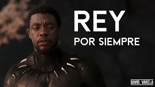 Pantera Negra - Rey Por Siempre | HD