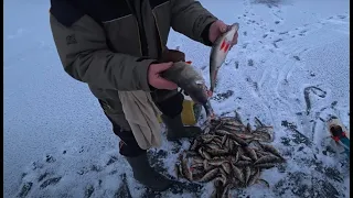 Рыбалка в декабре. Мороз и ветер, но рыбалка удалась.