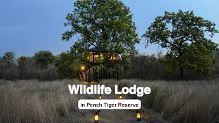 Luxury Accommodation in Pench | Wildlife Lodge in Pench Tiger Reserve