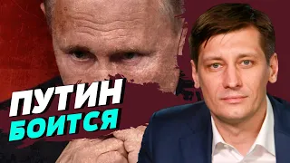 Путин не рискнёт лично поехать туда, где ему грозит опасность — Дмитрий Гудков