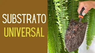 RECEITAS CASEIRAS: Como fazer um substrato que serve para a maioria das plantas?