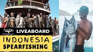 Spearfishing Indonesia and travel with liveaboard