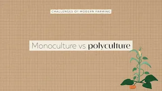 Monoculture vs Polyculture | FoodUnfolded Animated Short