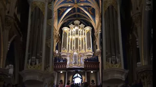 Basilica of the Sacred Heart Organ