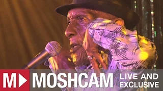 The Jolly Boys - Passenger (Iggy Pop) (Live at Sydney Festival) | Moshcam