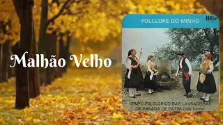 Grupo Folclórico Das Lavradeiras de Parada de Gatim - Malhão Velho