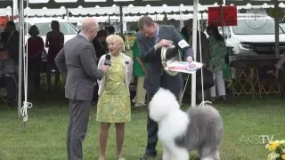 LIVE: Tuxedo Park Kennel Club All-Breed Show