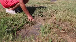 Bradenton family outraged over cemetery condition