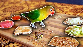 Which Food the LOVEBIRD will Choose ? / (Lovebirds Diet)
