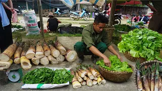 Making aquariums, harvesting bamboo shoots and green vegetables to bring to the market to sell EP 58