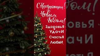 СЧАСТЛИВЫЙ ГОД КРЫСЫ!!! ПОЗДРАВЛЯЕМ  ВСЕХ С НОВЫМ ГОДОМ!!!