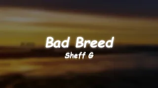 Sheff G - Bad Breed (Lyrics)