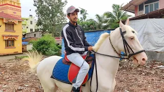 Professional techniques to learn horse riding |hindi| |rider| Abhishek Mhatre