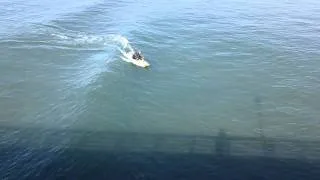 Video of Old guys surfing longboards Oceanside pier Jan 31st 2012