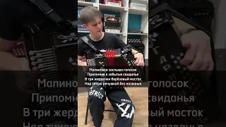 СЫГРАЛ МАЛИНОВКУ на гармони🔥