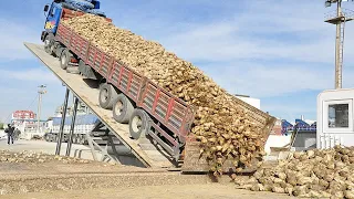 Extreme Dangerous Modern Dump Truck Operator Skills, Fastest Asphalt Paving Heavy Equipment Machines