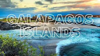 Galapagos Island | 4K | Amazing beautiful place to visit | Beaches