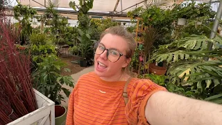 Houseplant Nursery & Greenhouse Tour! Let's Go Houseplant Shopping Together ♥