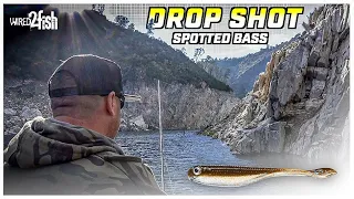 How to Catch Spotted Bass | Drop Shot Rig Steep Walls