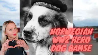 DOG who became NORWEGIAN WW2 HERO - you will cry