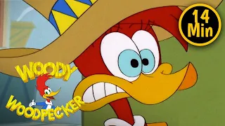 Woody Woodpecker | Winnie's New Job | 2 Full Episodes