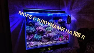 Морской аквариум с рыбкой клоун и живыми кораллами от Aquayozh. 100л