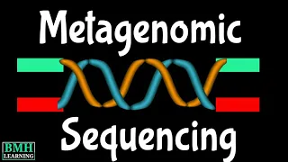 Metagenomic Sequencing | Shotgun Metagenomic Sequencing | Metagenomic NGS | mNGS |