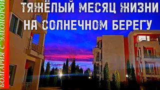 Автосервис, Болгарские номера, Вирусы, Пожар и другие неприятности на Солнечном Берегу