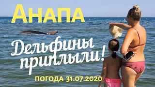 #АНАПА 31.07.2020. ПРИПЛЫЛИ ДЕЛЬФИНЫ! ЦЕНТРАЛЬНЫЙ ПЛЯЖ. ЧИСТОЕ ТЁПЛОЕ МОРЕ. МНОГО ЛЮДЕЙ! Погода