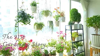 Decorate your veranda garden every year without spending any money.