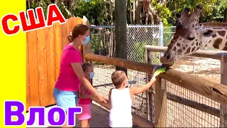 США Влог Валидольный поход в Зоопарк Большая семья в США /USA Vlog/