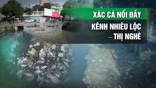 Sau cơn mưa, xác cá lẫn rác thải nổi đầy kênh Nhiêu Lộc – Thị Nghè, TP.HCM| VTC14