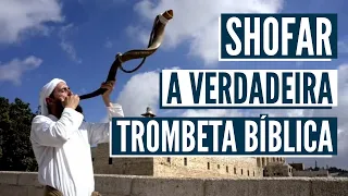 WHAT IS THE SHOFAR? Discover a Bible Trumpet factory in Jerusalem! (English subtitles)