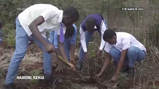 Niños plantan bambú para combatir contaminación en mayor vertedero de Kenia
