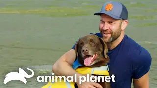 The SWEETEST Moments of Lee Asher & His Pack | My Pack Life | Animal Planet