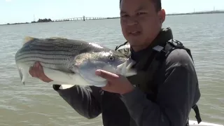 24KSportFishing Caught In California Trailer (Final) Delta Stripers